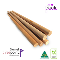 Dowel Rod - Assess - Train - Twin Pack